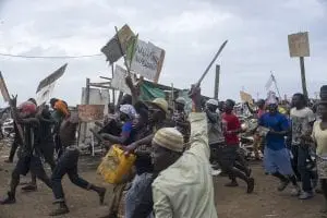 djama dzama riot