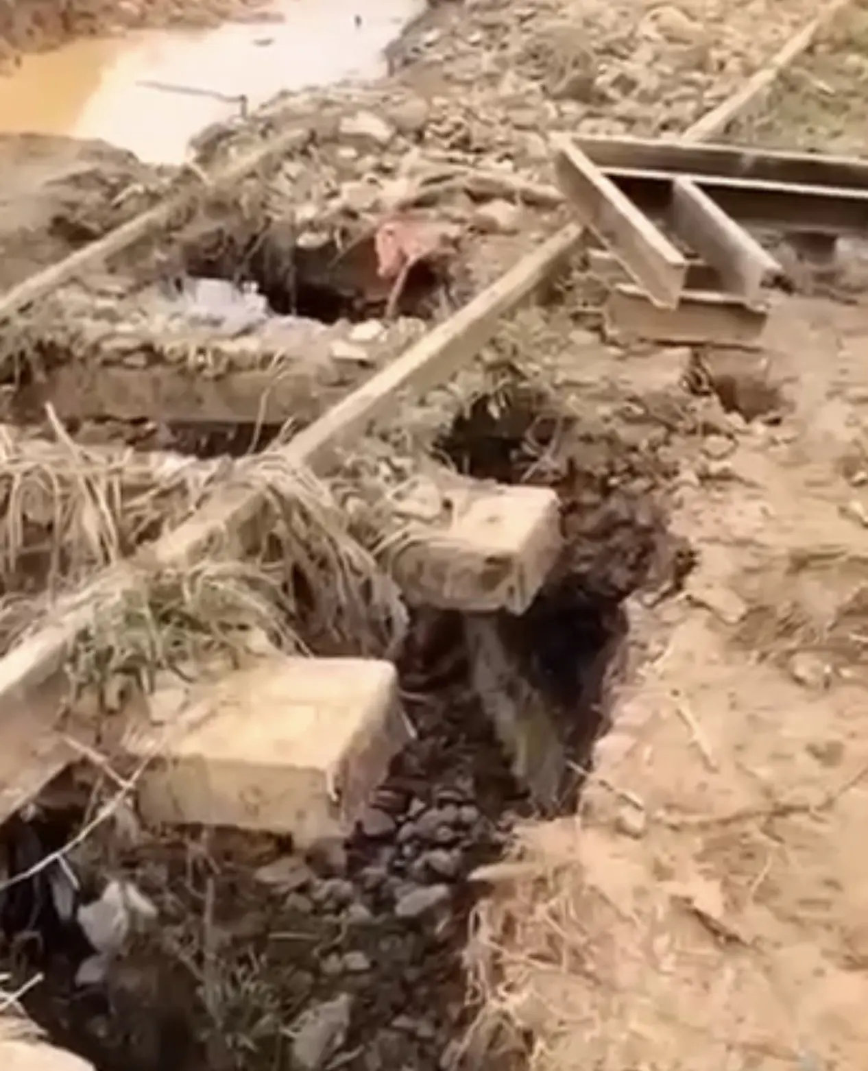 The Destruction of Railway Lines in the Western Region: Ghana’s Steel Arteries Under Siege